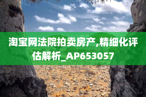 淘宝网法院拍卖房产,精细化评估解析_AP653057