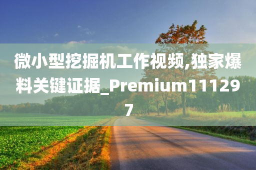 微小型挖掘机工作视频,独家爆料关键证据_Premium111297