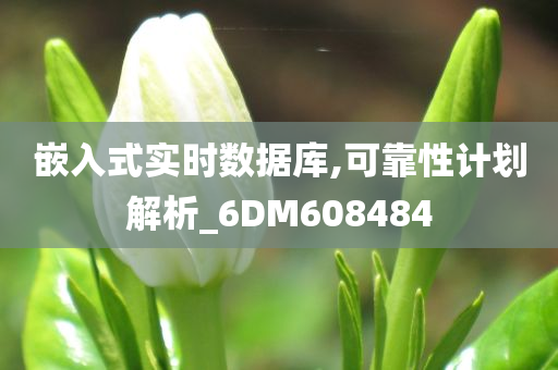 嵌入式实时数据库,可靠性计划解析_6DM608484