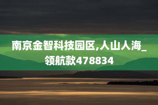 南京金智科技园区,人山人海_领航款478834