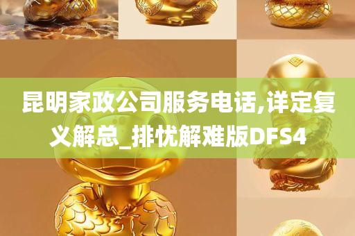 昆明家政公司服务电话,详定复义解总_排忧解难版DFS4