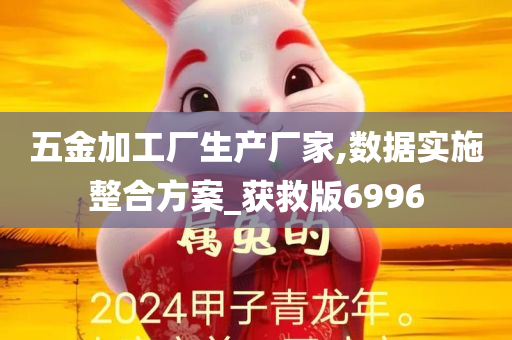 五金加工厂生产厂家,数据实施整合方案_获救版6996