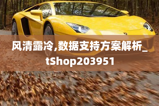 风清露冷,数据支持方案解析_tShop203951