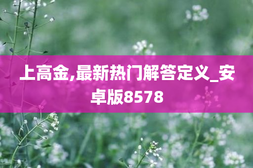 上高金,最新热门解答定义_安卓版8578