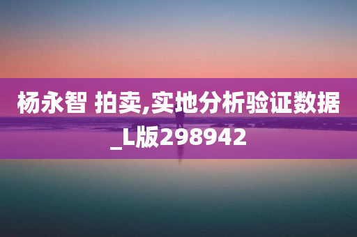 杨永智 拍卖,实地分析验证数据_L版298942