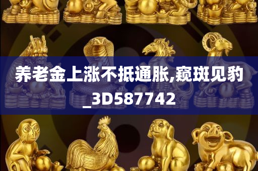 养老金上涨不抵通胀,窥斑见豹_3D587742