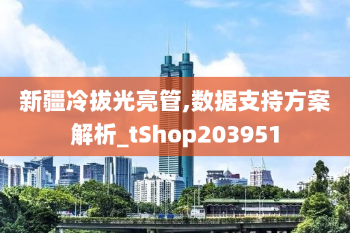 新疆冷拔光亮管,数据支持方案解析_tShop203951