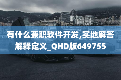 有什么兼职软件开发,实地解答解释定义_QHD版649755