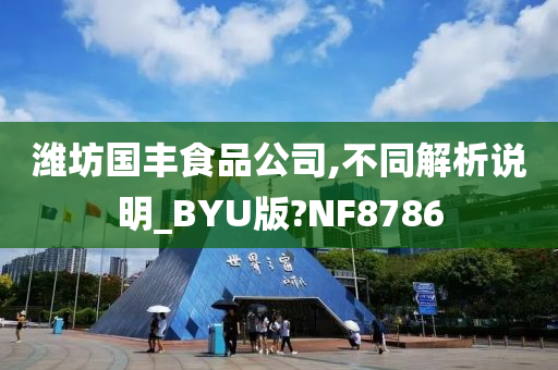 潍坊国丰食品公司,不同解析说明_BYU版?NF8786