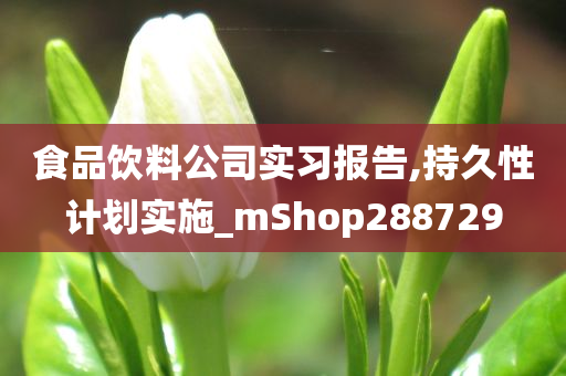 食品饮料公司实习报告,持久性计划实施_mShop288729