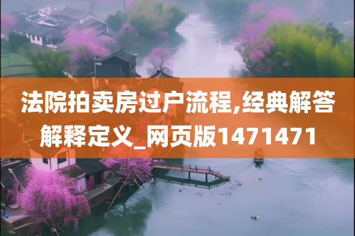 法院拍卖房过户流程,经典解答解释定义_网页版1471471