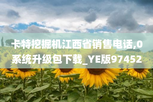 卡特挖掘机江西省销售电话,0系统升级包下载_YE版974520