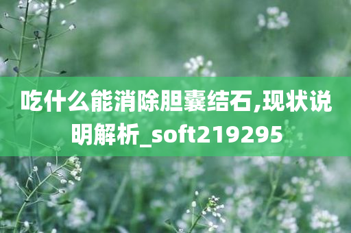 吃什么能消除胆囊结石,现状说明解析_soft219295