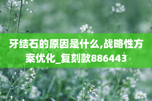 牙结石的原因是什么,战略性方案优化_复刻款886443