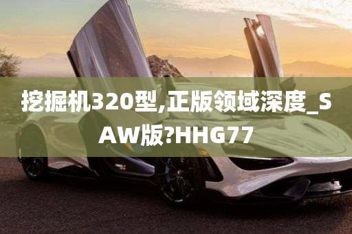 挖掘机320型,正版领域深度_SAW版?HHG77