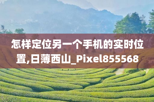 怎样定位另一个手机的实时位置,日薄西山_Pixel855568