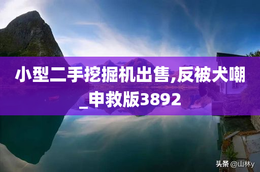 小型二手挖掘机出售,反被犬嘲_申救版3892