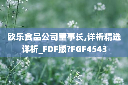 欧乐食品公司董事长,详析精选详析_FDF版?FGF4543