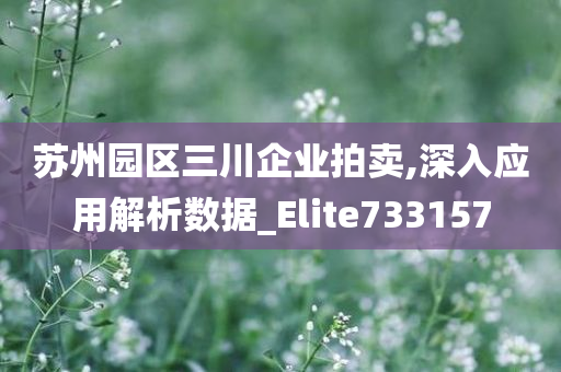 苏州园区三川企业拍卖,深入应用解析数据_Elite733157