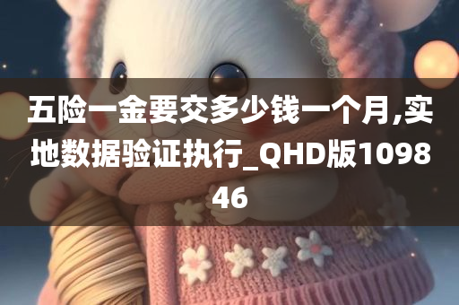 五险一金要交多少钱一个月,实地数据验证执行_QHD版109846