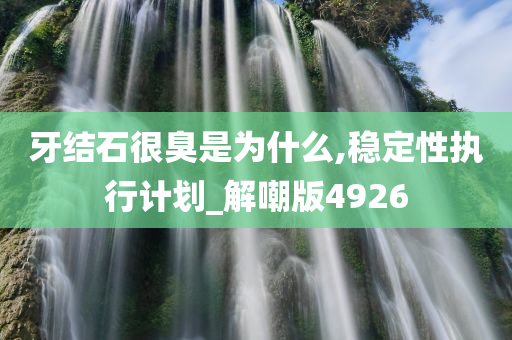 牙结石很臭是为什么,稳定性执行计划_解嘲版4926