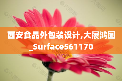 西安食品外包装设计,大展鸿图_Surface561170