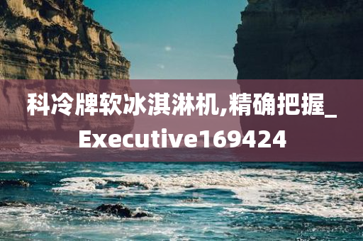 科冷牌软冰淇淋机,精确把握_Executive169424