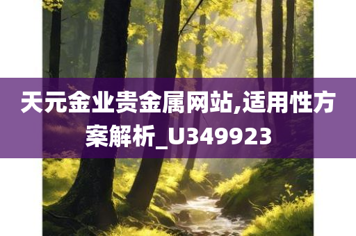 天元金业贵金属网站,适用性方案解析_U349923