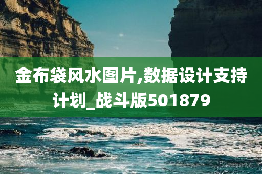 金布袋风水图片,数据设计支持计划_战斗版501879