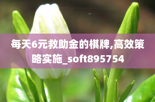 每天6元救助金的棋牌,高效策略实施_soft895754