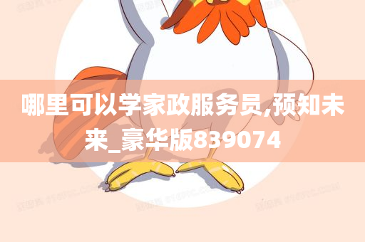 哪里可以学家政服务员,预知未来_豪华版839074