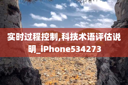 实时过程控制,科技术语评估说明_iPhone534273