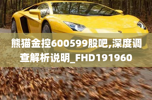 熊猫金控600599股吧,深度调查解析说明_FHD191960