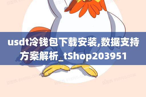 usdt冷钱包下载安装,数据支持方案解析_tShop203951