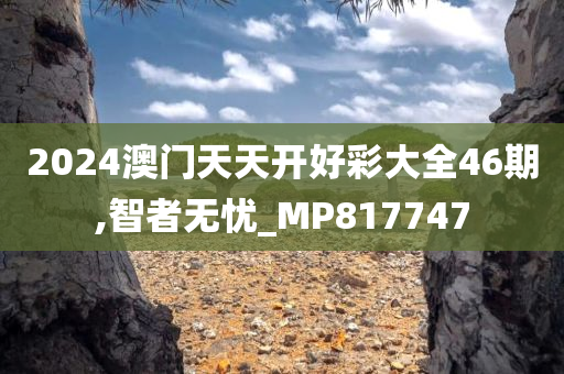 2024澳门天天开好彩大全46期,智者无忧_MP817747