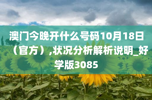 澳门今晚开什么号码10月18日（官方）,状况分析解析说明_好学版3085