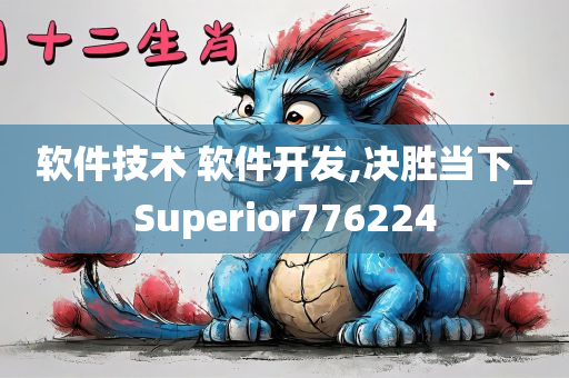 软件技术 软件开发,决胜当下_Superior776224