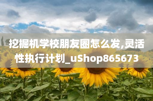 挖掘机学校朋友圈怎么发,灵活性执行计划_uShop865673