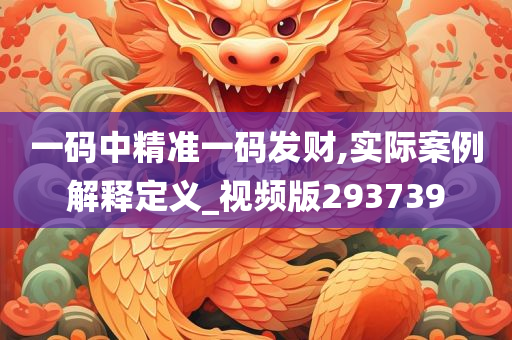 一码中精准一码发财,实际案例解释定义_视频版293739