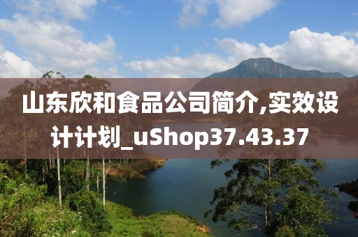 山东欣和食品公司简介,实效设计计划_uShop37.43.37