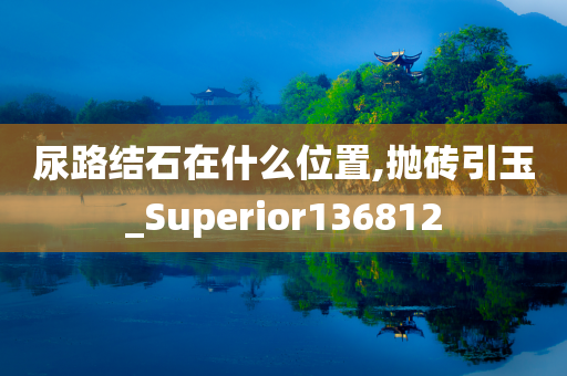 尿路结石在什么位置,抛砖引玉_Superior136812