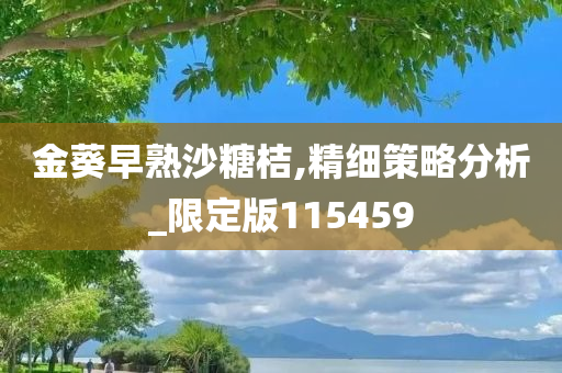 金葵早熟沙糖桔,精细策略分析_限定版115459