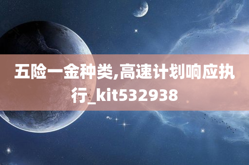 五险一金种类,高速计划响应执行_kit532938