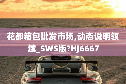 花都箱包批发市场,动态说明领域_SWS版?HJ6667