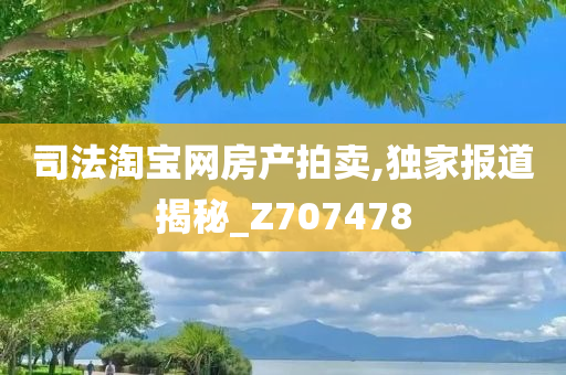 司法淘宝网房产拍卖,独家报道揭秘_Z707478