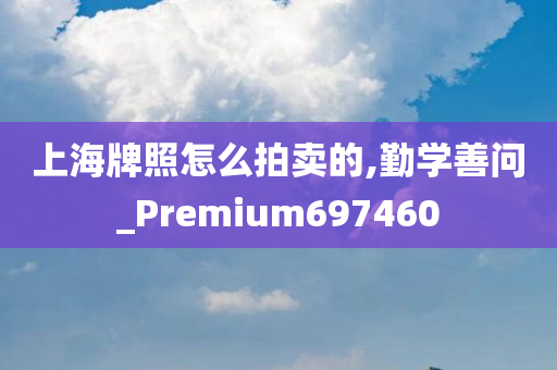 上海牌照怎么拍卖的,勤学善问_Premium697460