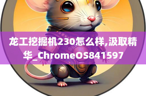 龙工挖掘机230怎么样,汲取精华_ChromeOS841597