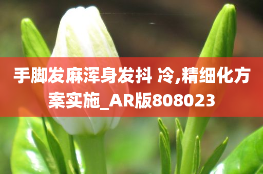 手脚发麻浑身发抖 冷,精细化方案实施_AR版808023