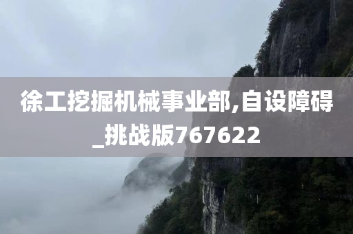 徐工挖掘机械事业部,自设障碍_挑战版767622