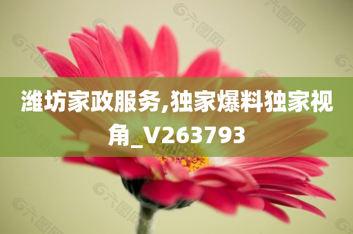 潍坊家政服务,独家爆料独家视角_V263793